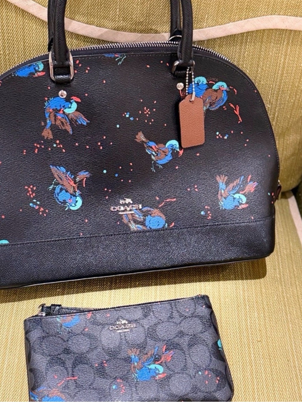 Coach Black Dome Satchel with Blue birds Print is the set